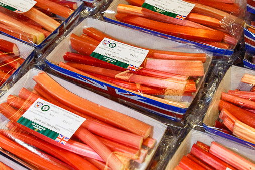 Yorkshire Forced Rhubarb production