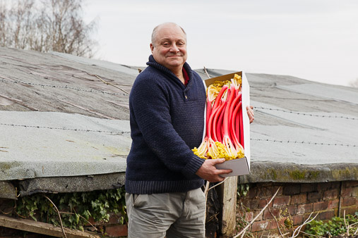 Yorkshire Forced Rhubarb production
